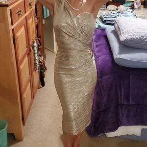 Silver one stap vintage gown
